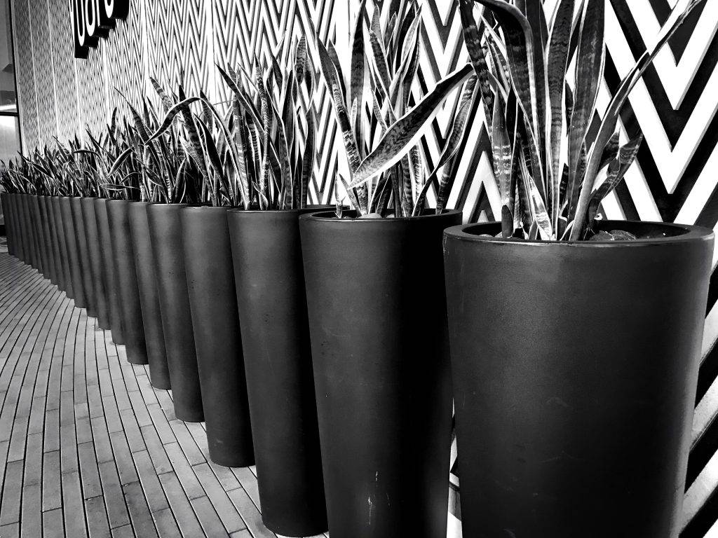 Metal planters3