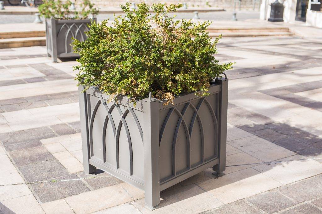 Green potted plants in beautiful pot outdoor.